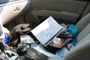 Cluttered or messy cars are also a major reason for having roach infestation in the car